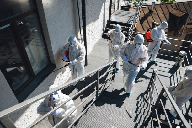 Best Forensic Mold Investigation  in Granger, IN
