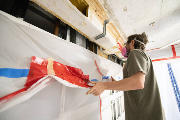 Best Mold Removal for HVAC Installations  in Granger, IN