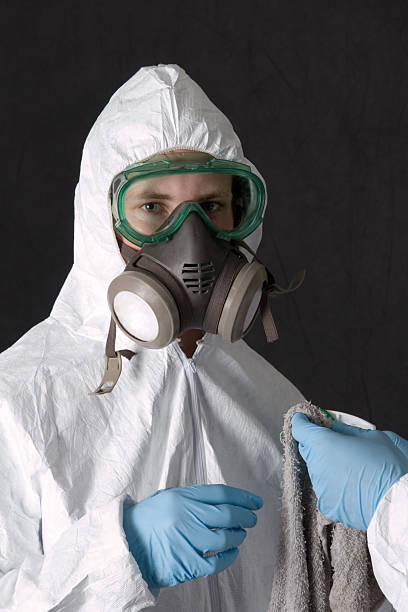 Best Mold Removal for HVAC Installations  in Granger, IN